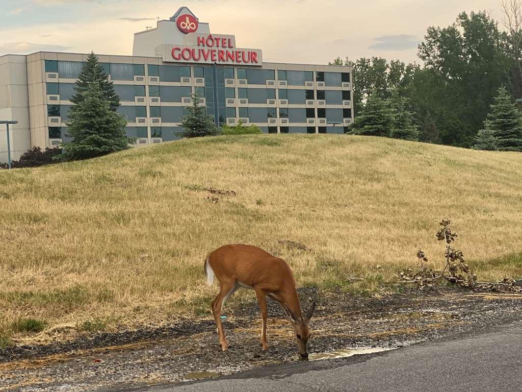 Hotels Gouverneur Montreal Lle Charron ロンゲール エクステリア 写真